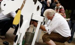 Outdoor Teamevent - Bayerische Olympiade